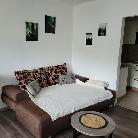 Ferienwohnung Hilde Bad Peterstal-Griesbach Exterior photo
