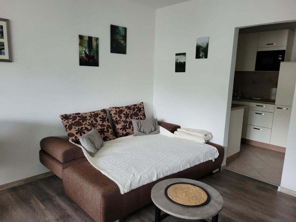 Ferienwohnung Hilde Bad Peterstal-Griesbach Exterior photo